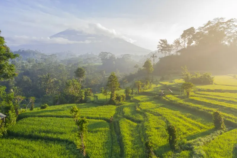 Bali Private Tour Packages